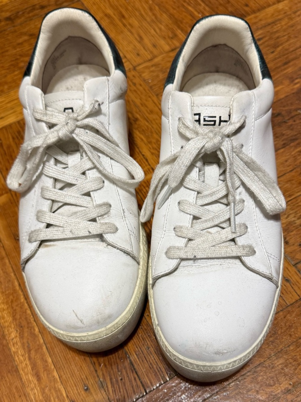 ASH Women's Cult Exclusive Casual Platform White/Emeraude Sneaker